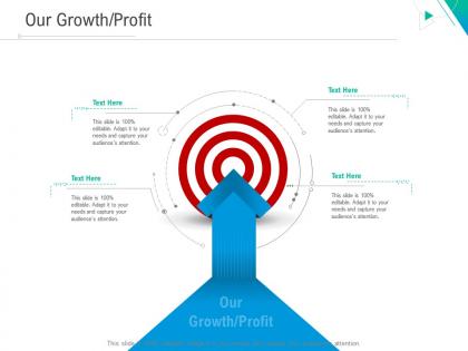 Our growth profit business outline ppt ideas