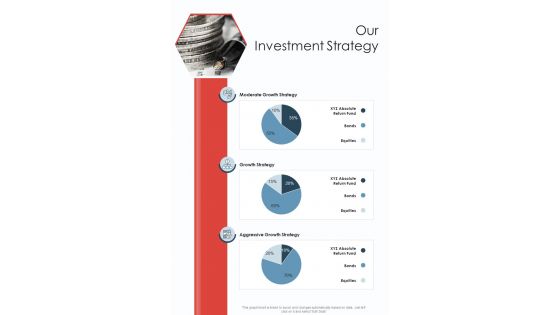 Our Investment Strategy One Pager Sample Example Document