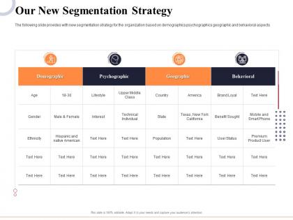 Our new segmentation strategy marketing and business development action plan ppt summary