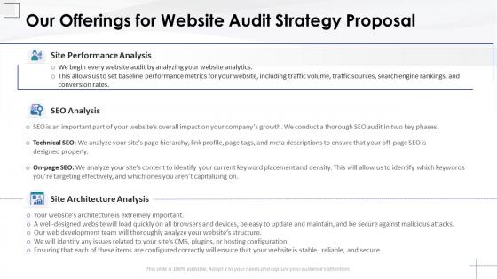 Our offerings for website audit strategy proposal website audit proposal template