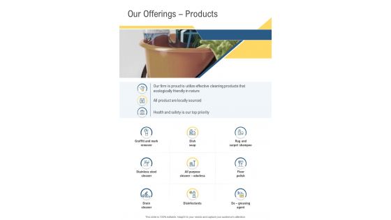 Our Offerings Products Cleaning Services Proposal One Pager Sample Example Document