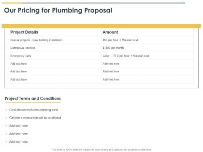 Our pricing for plumbing proposal ppt powerpoint presentation guide
