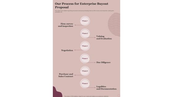 Our Process For Enterprise Buyout Proposal One Pager Sample Example Document