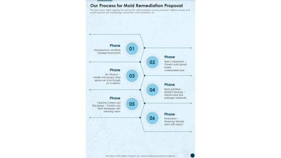 Our Process For Mold Remediation Proposal One Pager Sample Example Document