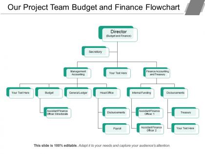 Our project team budget and finance flowchart