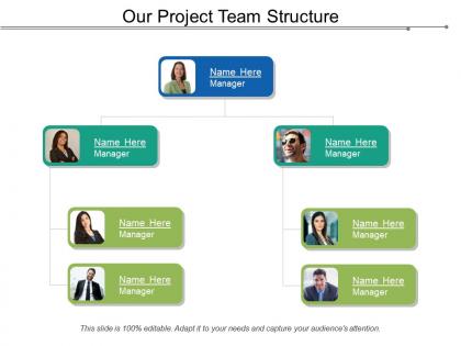 Our project team structure