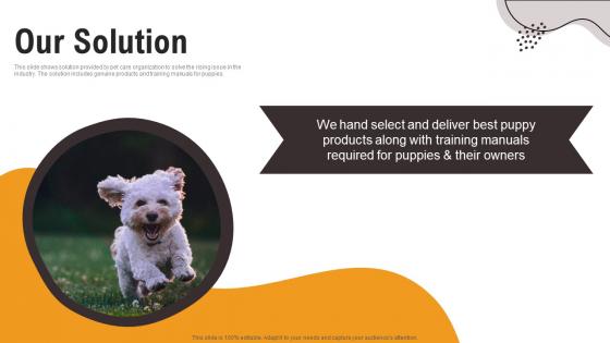 Our Solution Dog Care Application Investor Funding Elevator Pitch Deck