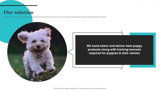 Our Solution Dog Training Services Providing Organization Fundraising Pitch Deck