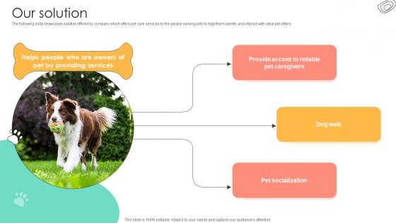 Our Solution Pet Sitting Service Investor Funding Elevator Pitch Deck