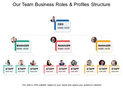 Our team business roles and profiles structure