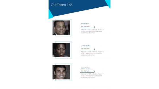 Our Team Copywriting Proposal Template One Pager Sample Example Document