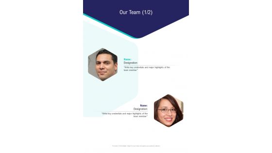 Our Team E Mail Marketing Proposal One Pager Sample Example Document