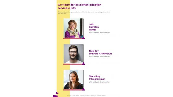 Our Team For BI Solution Adoption One Pager Sample Example Document