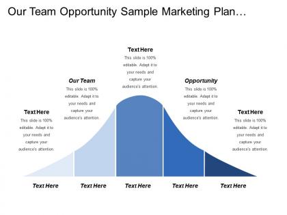 Our team opportunity sample marketing plan business intelligence