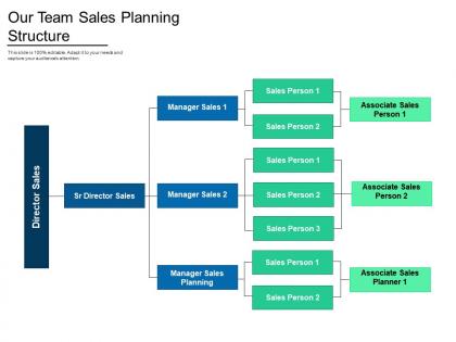 Our team sales planning structure