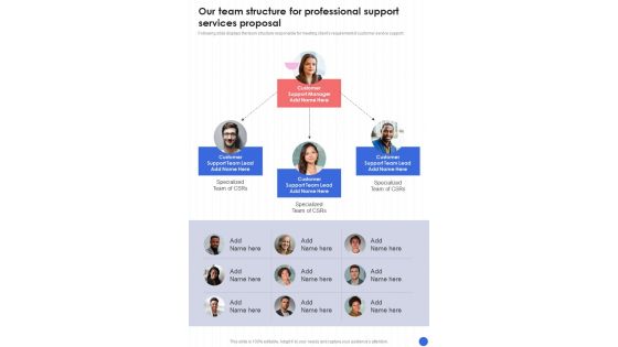Our Team Structure For Professional Support Services One Pager Sample Example Document