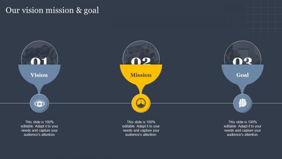 Our Vision Mission And Goal Implementing Sales Risk Mitigation Planning