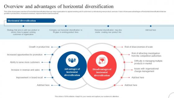Overview And Advantages Of Horizontal Strategic Diversification To Reduce Strategy SS V