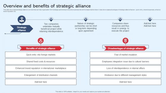 Overview And Benefits Of Strategic Alliance Diversification In Business To Expand Strategy SS V