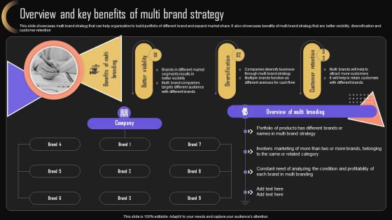 Overview And Brand Strategy Brand Strategy For Increasing Market Share And Company Presence MKT SS V
