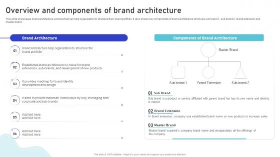 Overview And Components Of Brand Architecture Multiple Brands Launch Strategy In Target