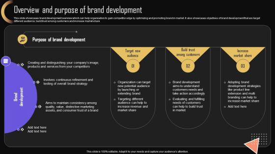 Overview And Development Brand Strategy For Increasing Company Presence MKT SS V