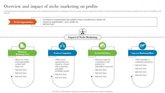 Overview And Impact Of Niche Marketing On Profits Understanding Various Levels MKT SS V