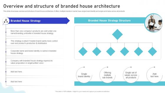 Overview And Structure Of Branded House Architecture Multiple Brands Launch Strategy In Target