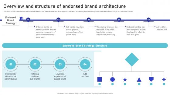 Overview And Structure Of Endorsed Brand Architecture Multiple Brands Launch Strategy In Target