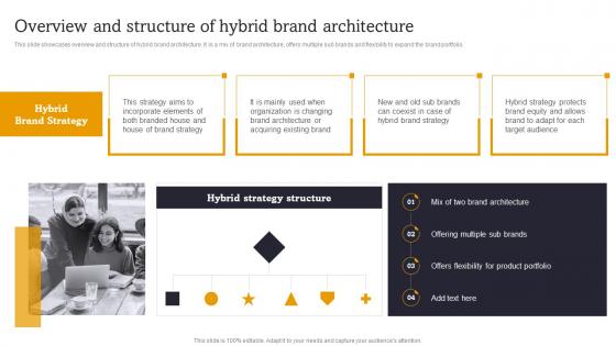 Overview And Structure Of Hybrid Brand Launch Multiple Brands To Capture Market Share