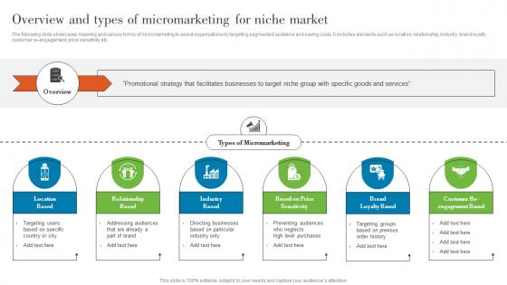 Overview And Types Of Micromarketing For Niche Understanding Various Levels MKT SS V