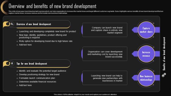 Overview Brand Development Brand Strategy For Increasing Market Share And Company Presence MKT SS V