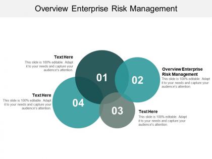 Overview enterprise risk management ppt powerpoint presentation show model cpb