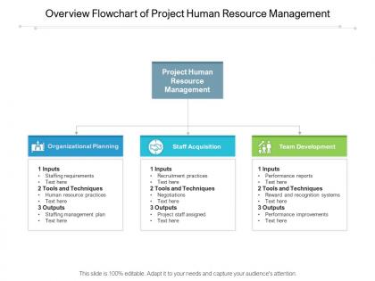 Overview flowchart of project human resource management