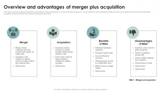 Overview Merger Plus Acquisition Business Diversification Through Integration Strategies Strategy SS V