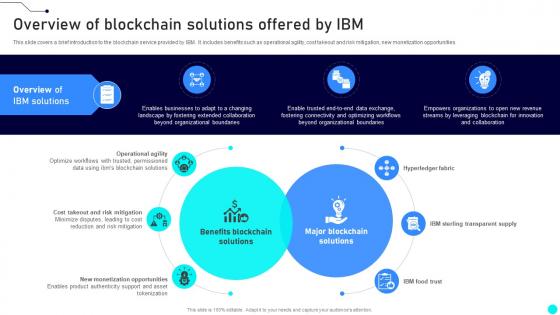 Overview Of Blockchain Solutions Offered By IBM Exploring Diverse Blockchain BCT SS