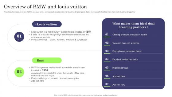 Overview Of BMW And Louis Vuitton Formulating Dual Branding Campaign For Brand
