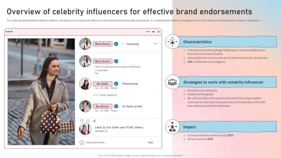 Overview Of Celebrity Influencers For Influencer Marketing Guide To Strengthen Brand Image Strategy Ss