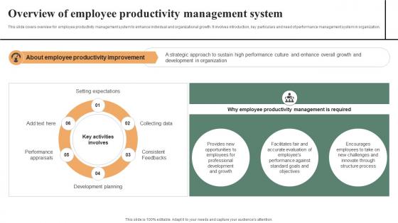 Overview Of Employee Productivity Effective Workplace Culture Strategy SS V