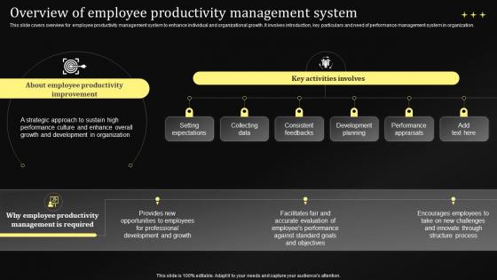 Overview Of Employee Productivity Management System Performance Management Techniques