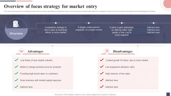 Overview Of Focus Strategy For Market Entry Focus Strategy For Niche Market Entry