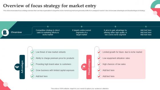Overview Of Focus Strategy For Market Entry Product Launch Strategy For Niche Market Segment