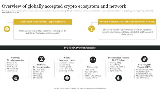 Overview Of Globally Accepted Crypto Ecosystem And Network Definitive Guide To Blockchain BCT SS V