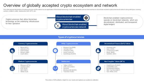 Overview Of Globally Accepted Crypto Ecosystem And Network In Depth Guide To Blockchain BCT SS V
