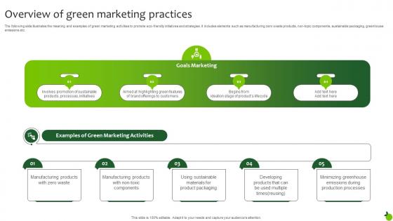 Overview Of Green Marketing Practices Executing Green Marketing Mkt Ss V