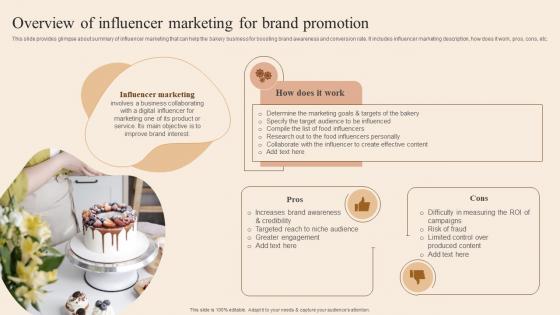 Overview Of Influencer Marketing For Brand Developing Actionable Advertising Plan Tactics MKT SS V