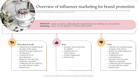Overview Of Influencer Marketing For Brand Promotion Complete Guide To Advertising Improvement Strategy SS V