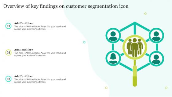 Overview Of Key Findings On Customer Segmentation Icon
