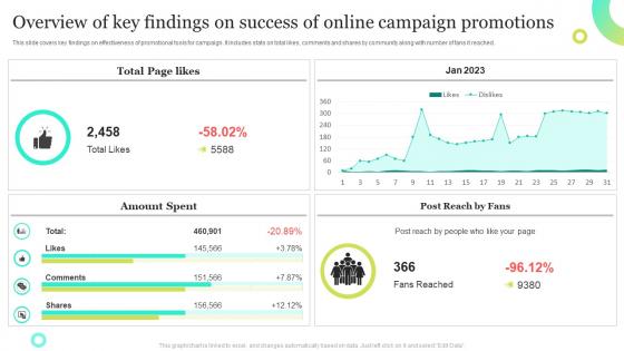 Overview Of Key Findings On Success Of Online Campaign Promotions