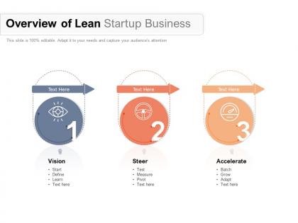 Overview of lean startup business
